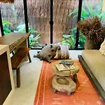 Apartamento Boho Beautiful Special Fee For Bardo Daypass *