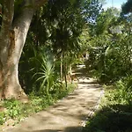 Jazba Jungle Retreat