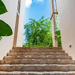 Sessile By The Spot * Tulum