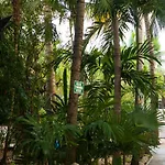 Oryx Tulum