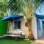 Casa Azul Very Local Experience