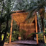 Selvatik - Jungle Pod