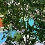 Little Gem Hotel Tulum La Veleta