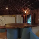 Maya Balam * Tulum
