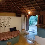 Maya Balam