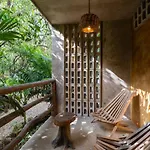 Casa Coyote