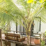 Hotel Chiringuito Tulum