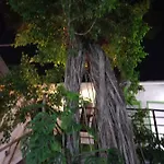 Mundo Maya Hotel