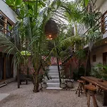 Casa Coyote 3*