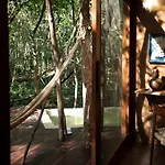 Ojo De Arbol, Boutique Cabin In The Real Jungle