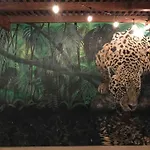 N35 Jungle Nest