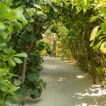 Tago Tulum By G Hotels