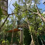 Invisible House Tulum - Jungle Studio