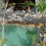 Xuncari En El Corazon De La Selva Tulum
