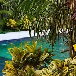 Heart & Soul Ph Apartamento *