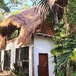 Selva Roca