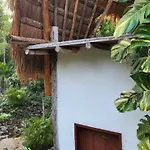 Selva Roca * Tulum