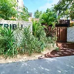 Tribu 306 Boho Design Gem In The Heart Of Tulum W/ Rooftop