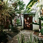 Oryx * Tulum