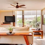 Eco-designed & Nature-infused Units By Stella Apartamento