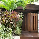 Charming Jungle Apartment In Luum Zama With Pool By Yeah