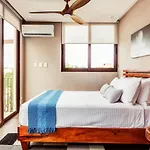 Eco-designed & Nature-infused Units By Stella Apartamento