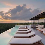 Stylish And Peaceful Jungle Studio