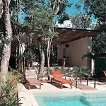 Invisible House Tulum - Jungle Studio