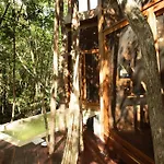 Ojo De Agua. Design+Pool. Vive La Autentica Selva!