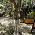 Mya Studio Tulum Aldea Zama
