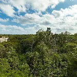 Dk31 Wifi 600Mb, Cheap Scooters By Moikkarentals