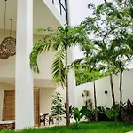 Dk31 Wifi 600Mb, Cheap Scooters By Moikkarentals