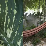 Wabi Sabi Garden Guesthouse By Amara Concepts.