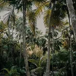 Hotel Ether Tulum