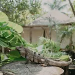 Ether Tulum