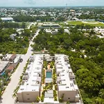 Toh1, Downtown