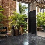 Toh1, Downtown Tulum