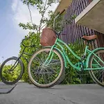 Luxury 2 Bdr 2 Bth 2 Bikes Jacuzzi Fiboptic Wifi. Tulum