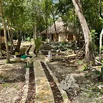Jungle Lofts