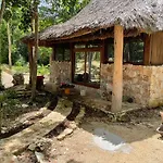 Jungle Lofts
