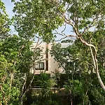 Afra 3 Beautiful Jungle House With Private Pool