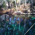 Exotic Eco House In Jungle With Private Cenote