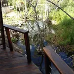 Exotic Eco House In Jungle With Private Cenote