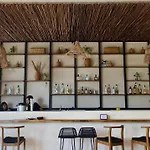Luxurious Jungle Apartamento *