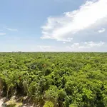 New Charming With Terrace Apartamento Tulum