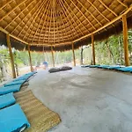 Private Cenote 18 Guests Luxury Jungle Lodge