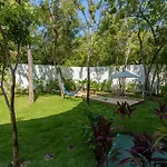 New - Hunab * Tulum