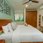 Live The Best Experience With Tulum!