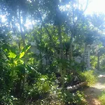Linda Casa Rodeada De Naturaleza. Tranquila.