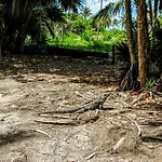 Menesse Tulum #B104